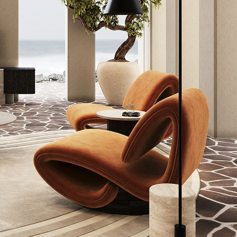 Modern S-Shaped Leisure Chair – Metal Frame