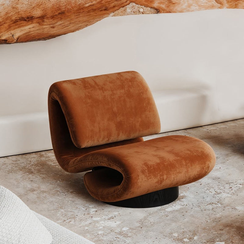 Modern S-Shaped Leisure Chair – Metal Frame